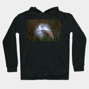 Milkweed Hoodie